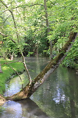 Image showing river in the garden