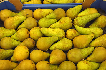 Image showing Pear display, étalage de poires