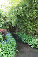 Image showing river in the garden