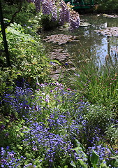 Image showing river in the garden