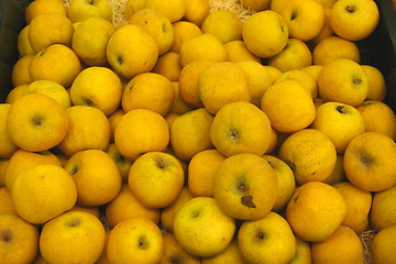 Image showing Apple display, étalage de pommes