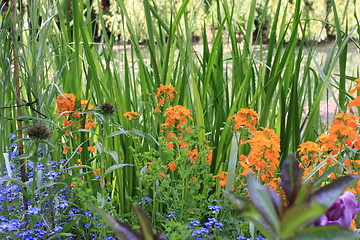 Image showing river in the garden