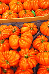 Image showing Display tomato