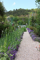 Image showing flower garden in spring