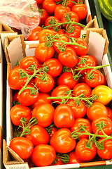 Image showing Display tomato