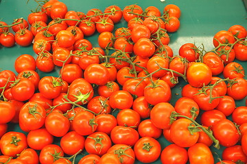 Image showing Display tomato