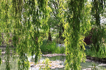 Image showing river in the garden