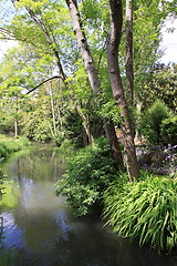 Image showing river in the garden