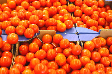 Image showing Display tomato