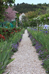 Image showing flower garden in spring