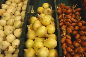 Image showing Display onion, etalage d oignons