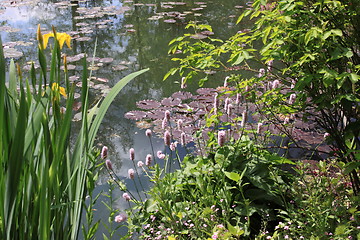 Image showing river in the garden