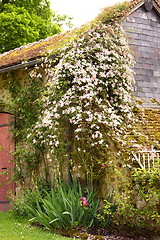 Image showing old house in medieval village