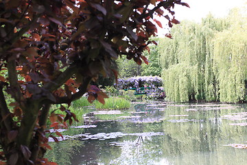 Image showing river in the garden