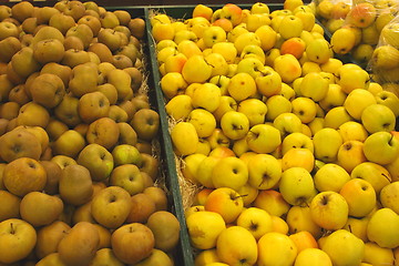 Image showing Apple display, étalage de pommes