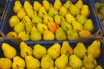 Image showing Pear display, étalage de poires