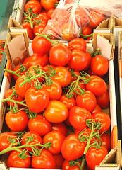 Image showing Display tomato