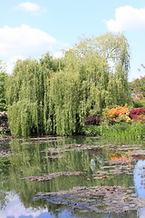 Image showing river in the garden