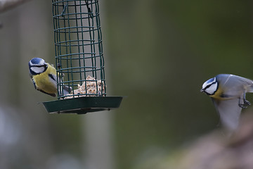 Image showing flying in