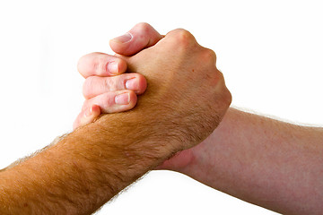 Image showing Shake hands