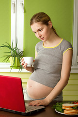 Image showing tender pregnant female with laptop