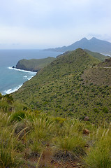 Image showing Cabo de Gata natural park