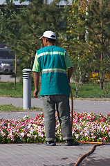 Image showing Men irrigate flowerbed