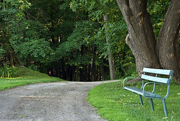 Image showing Park Bench by trail 