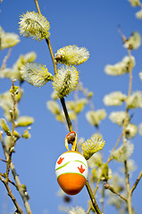 Image showing Easter egg hang on kittens branch in spring. 