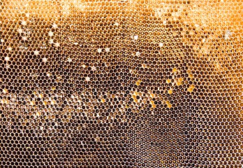 Image showing Honeycomb mesh 