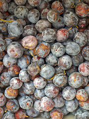 Image showing Prunes picture