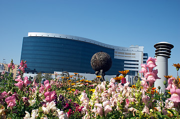 Image showing Flowers and office building