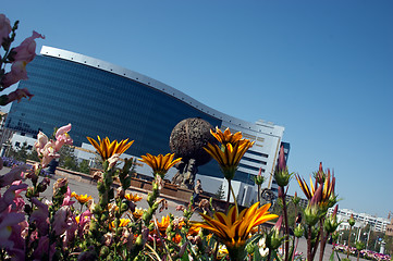 Image showing Flowers and office building