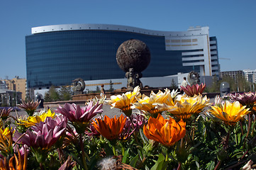 Image showing Flowers and office building