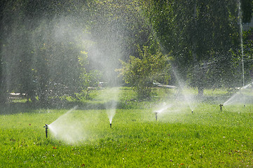 Image showing Irrigation