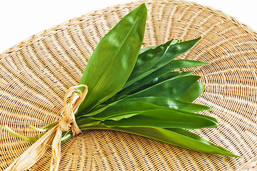 Image showing wild garlic