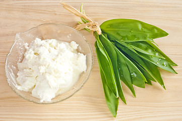 Image showing wild garlic and gourd