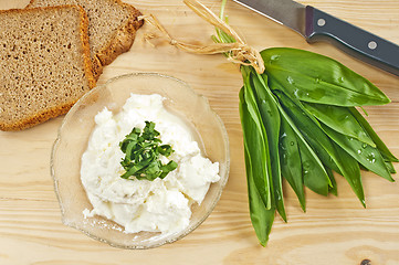 Image showing wild garlic and gourd