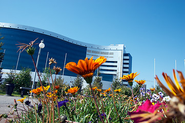 Image showing Flowers and office building