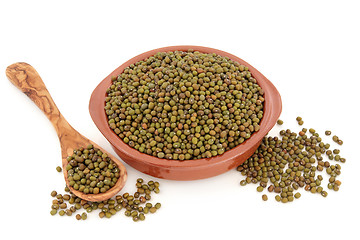 Image showing Mung Beans