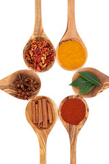 Image showing Spice 