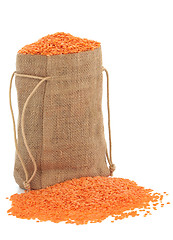 Image showing Red Lentils