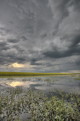 Image showing Slough pond and crop