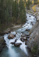 Image showing Athabasca River Rocky Mountains