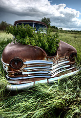 Image showing Vintage Farm Trucks