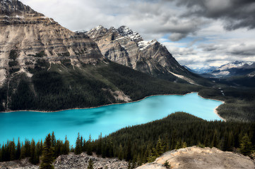 Image showing Peyto Lake Alberta Canada