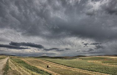 Image showing Prairie Road Storm Clouds