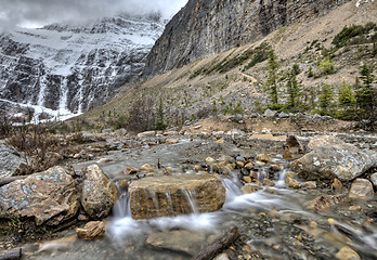 Image showing mount edith cavell