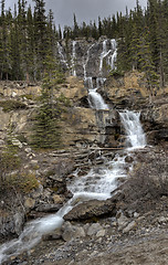 Image showing Tangle Waterfall Alberta Canada