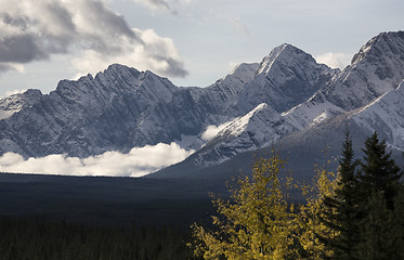 Image showing Autumn in the Rockies